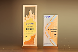 易币付(中国)国际一举斩获“2024年度中国区最佳雇主”等多项大奖